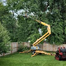 Best Tree Maintenance Programs  in Sherman, IL